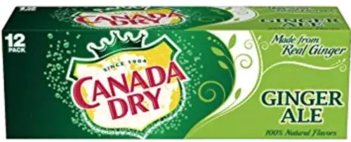 NA-CANADA DRY GINGER ALE 12PK