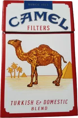 CAMEL RED BOX